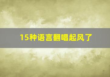 15种语言翻唱起风了