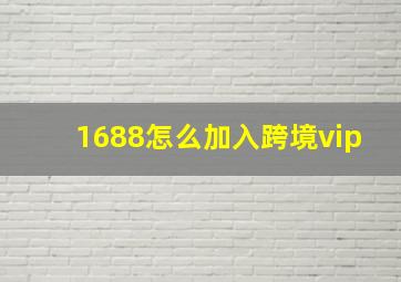 1688怎么加入跨境vip