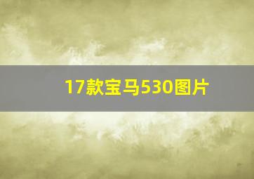 17款宝马530图片