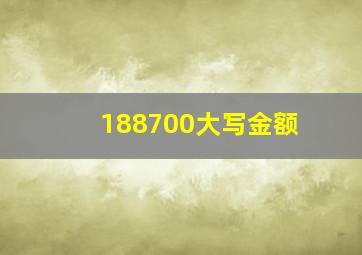 188700大写金额