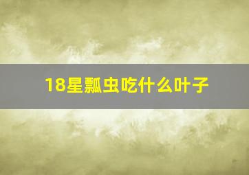 18星瓢虫吃什么叶子