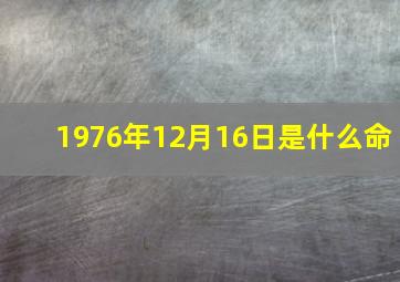 1976年12月16日是什么命