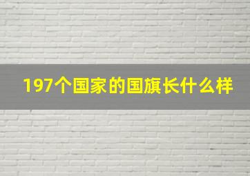 197个国家的国旗长什么样