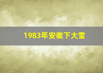 1983年安徽下大雪