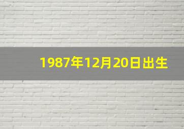 1987年12月20日出生