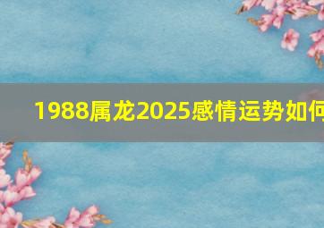 1988属龙2025感情运势如何