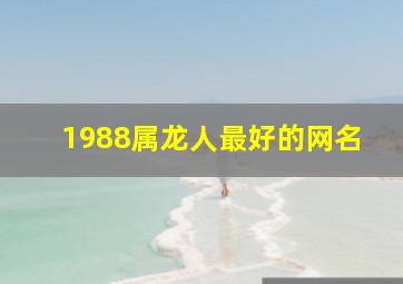 1988属龙人最好的网名