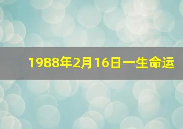 1988年2月16日一生命运