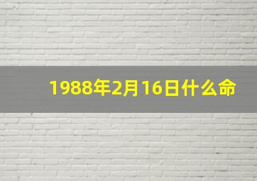 1988年2月16日什么命