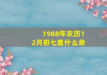 1988年农历12月初七是什么命