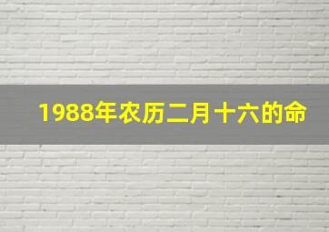 1988年农历二月十六的命