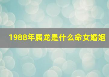 1988年属龙是什么命女婚姻