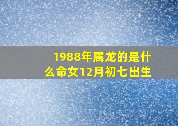 1988年属龙的是什么命女12月初七出生