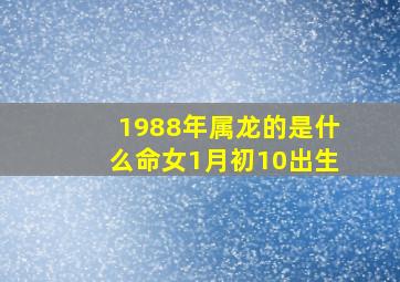 1988年属龙的是什么命女1月初10出生