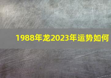 1988年龙2023年运势如何