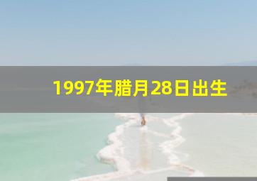 1997年腊月28日出生