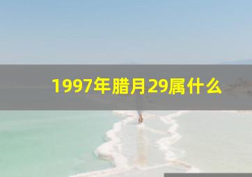 1997年腊月29属什么