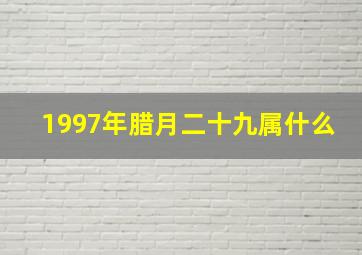 1997年腊月二十九属什么