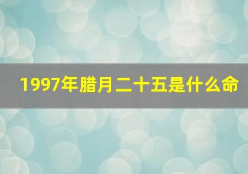 1997年腊月二十五是什么命