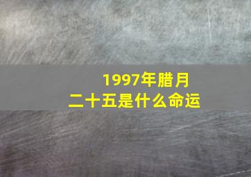 1997年腊月二十五是什么命运