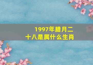 1997年腊月二十八是属什么生肖