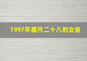 1997年腊月二十八的女孩