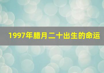 1997年腊月二十出生的命运