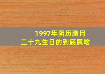 1997年阴历腊月二十九生日的到底属啥