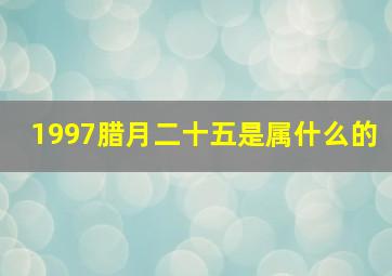 1997腊月二十五是属什么的