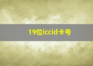 19位iccid卡号