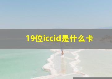 19位iccid是什么卡