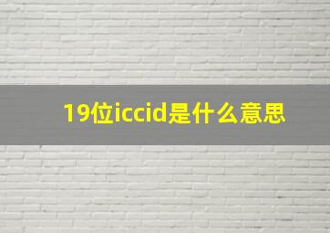 19位iccid是什么意思