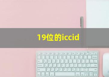 19位的iccid