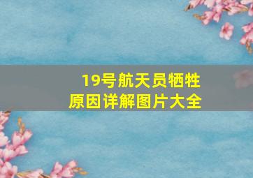 19号航天员牺牲原因详解图片大全