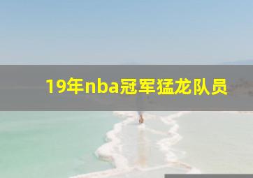 19年nba冠军猛龙队员