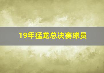 19年猛龙总决赛球员