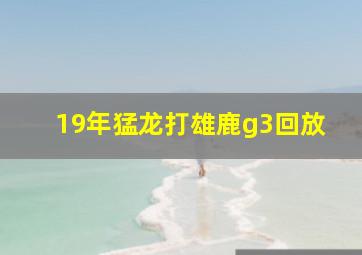 19年猛龙打雄鹿g3回放