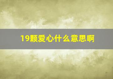 19颗爱心什么意思啊