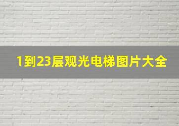 1到23层观光电梯图片大全