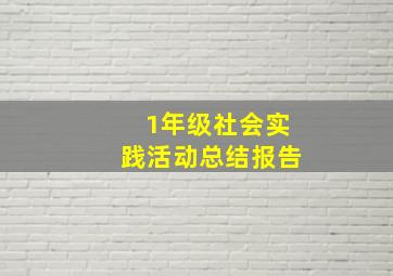 1年级社会实践活动总结报告