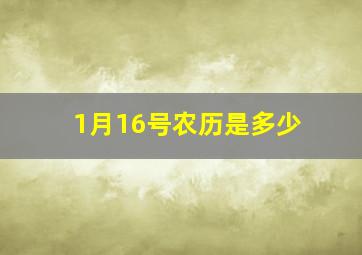 1月16号农历是多少