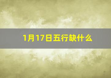 1月17日五行缺什么