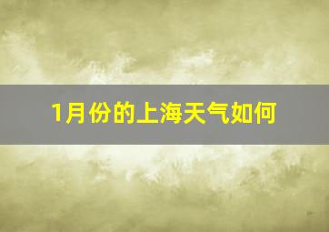 1月份的上海天气如何