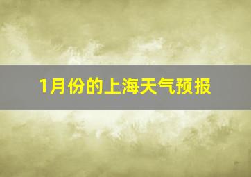 1月份的上海天气预报