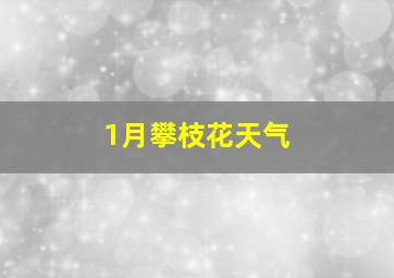 1月攀枝花天气