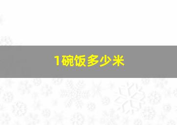 1碗饭多少米