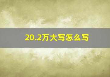 20.2万大写怎么写