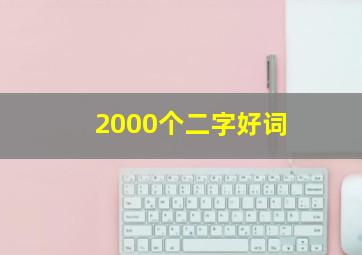 2000个二字好词