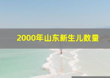 2000年山东新生儿数量