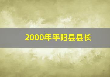 2000年平阳县县长